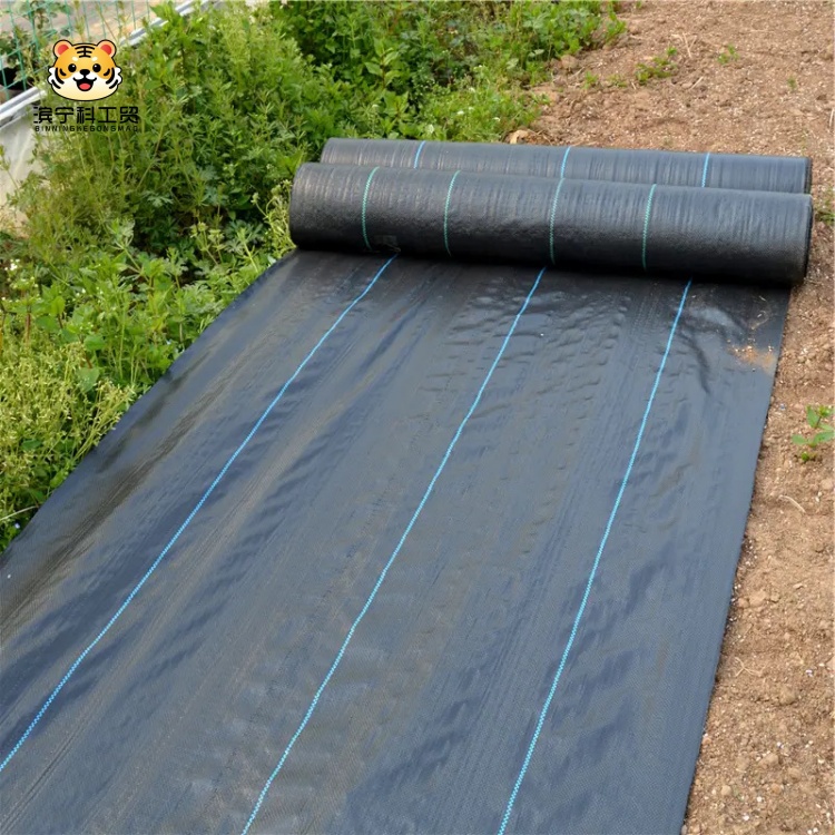 Professional Weed Barrier Fabric: Breathable Structure for Soil Health and Root Vitality