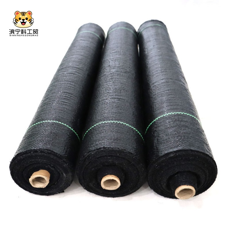 Ease of Installation & Cost Efficiency: The Ultimate Solution for Productive Gardening