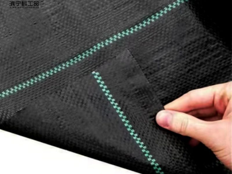 04eb24ec9a081d1df3ad10a57e3ab1f8_副本