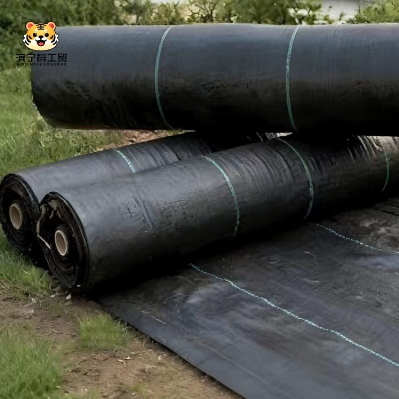 0ecb72d2d571c91e9c92209e6f98bd0a_副本