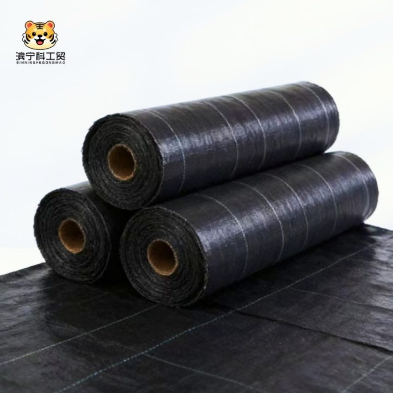 188471b2d0dcfed3cdc44e7570b056b3_副本