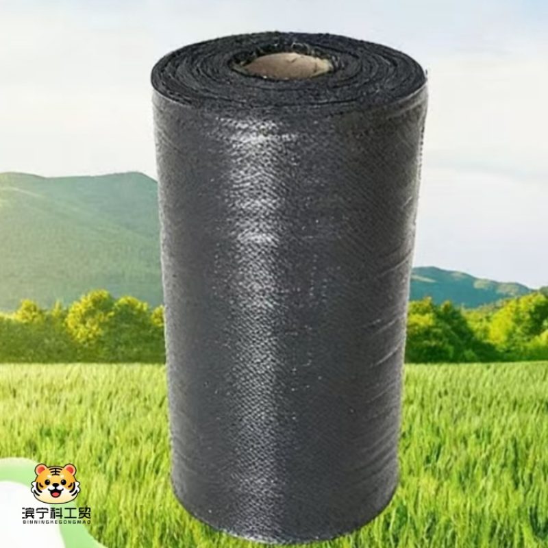 2d2dd5be828108c86497c365211c9891_副本_副本