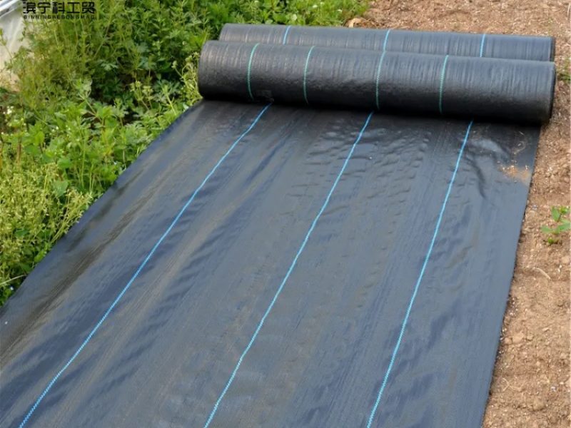 3527c8566252528a50c478adc3f897d6_副本