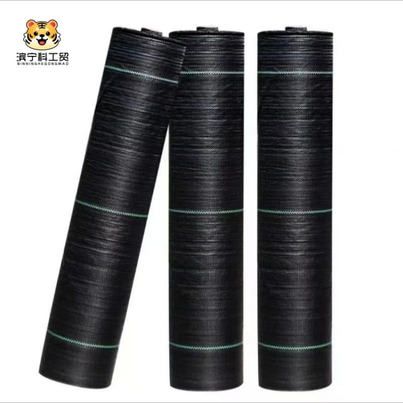 49cacf6aaf7614abd52a05ecb7e6fe6b_副本