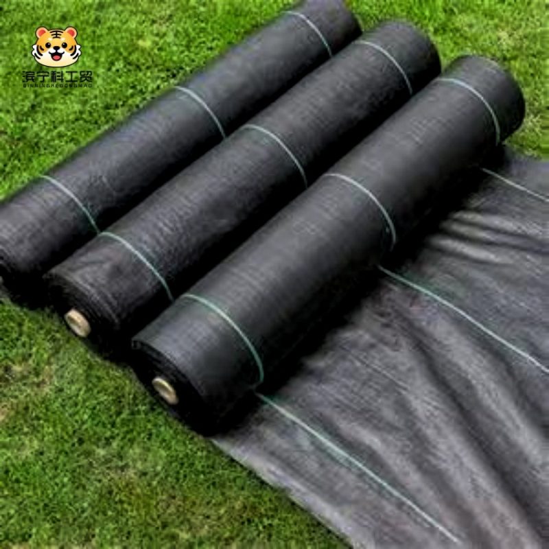 5b2378b255e501692775d4b5fa550bfe_副本