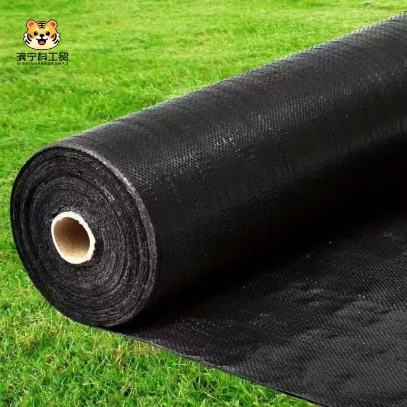 6eb2ab818127b8bca6eb75a2efac3f22_副本