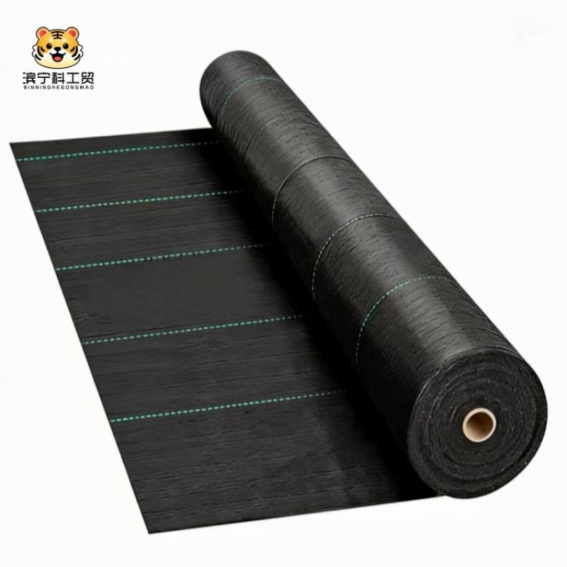 75deb4c3ce55cb01ca209eef9d2e6507_副本