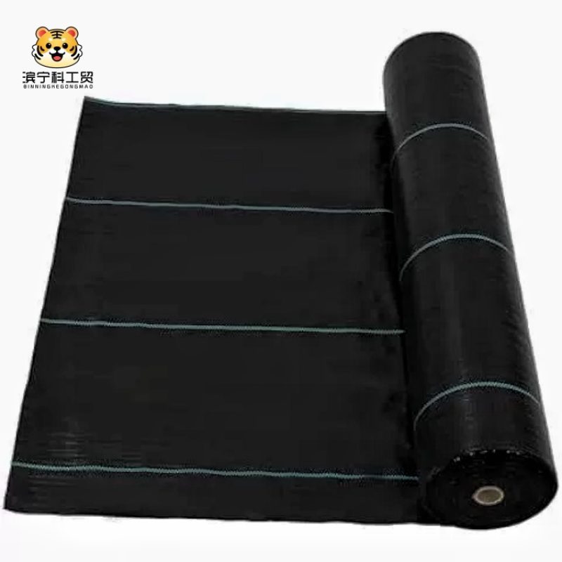 O1CN010lbLkD29djYgFiQke_!!2218493648091-0-cib.jpg__副本