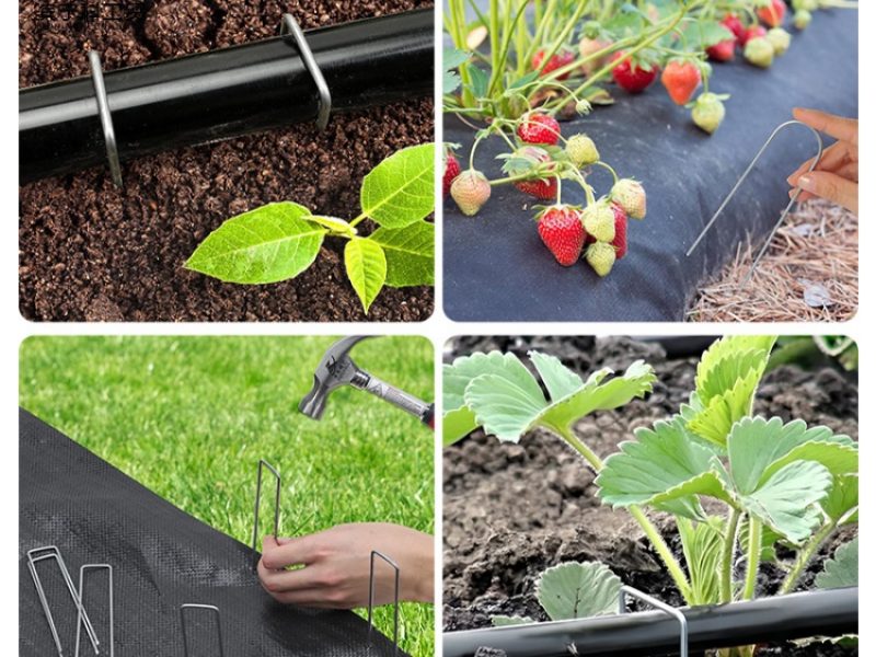 O1CN016GrQ3F29djdb1IwKP_!!2218493648091-0-cib_副本