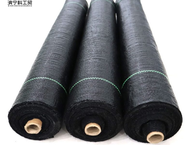 O1CN018Iobk02FNbKfDDEt1_!!3407558868-0-cib_副本