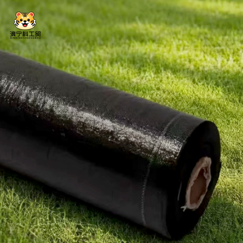 a604f99a86ae0ba6aa86d2c088ab38cd_副本