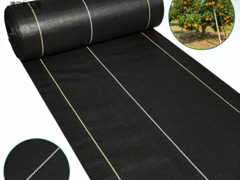 a94bba85f96c633963d3a2e0b6448410_副本