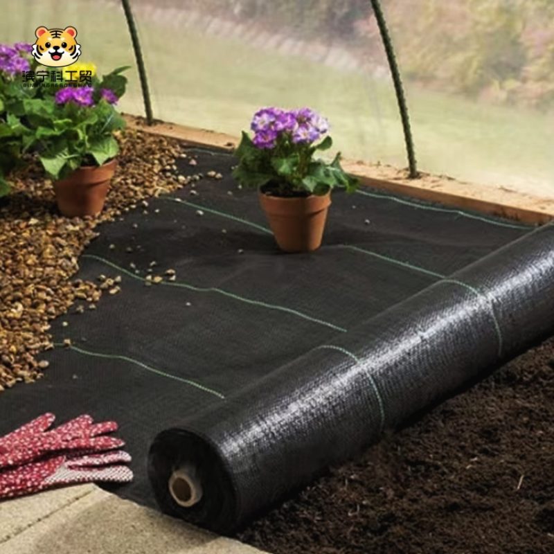 aa37b57fbd8fd90acb6d15d5f8a6b1d0_副本