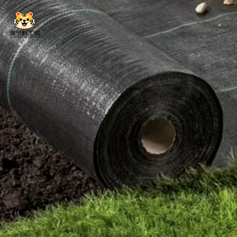 aa37b57fbd8fd90acb6d15d65f8a6b1d0_副本