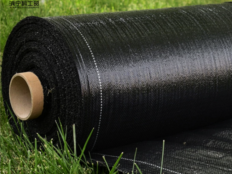 b5c57e3ea9feef73270bdaf5f5f96fad_副本