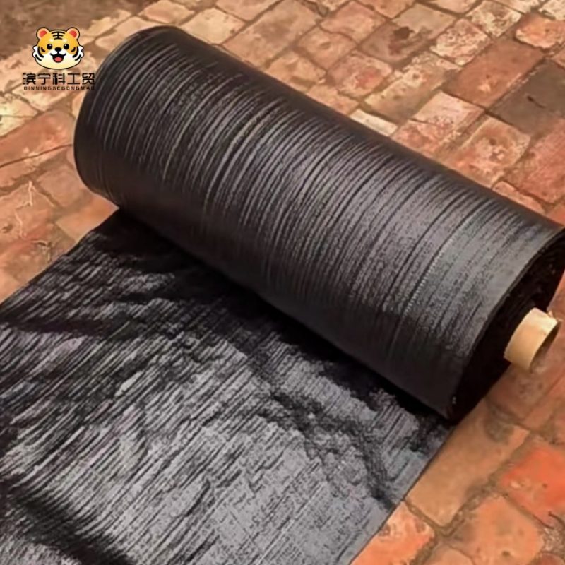 bc7a0d3c29a0fb6d6b79f4af17b12301_副本