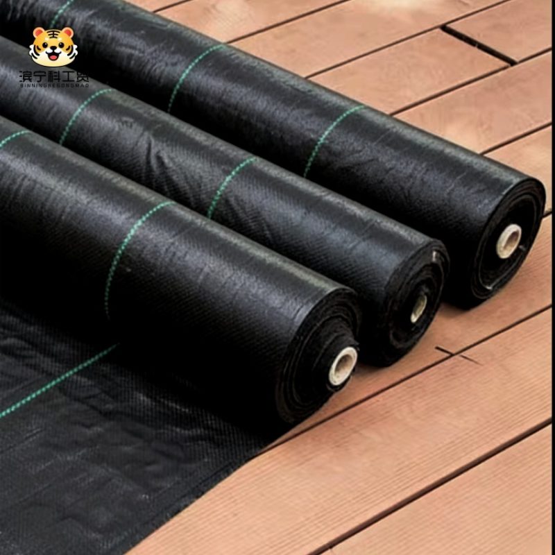 e03d22169bda5930d869f4c3a2cd26af_副本