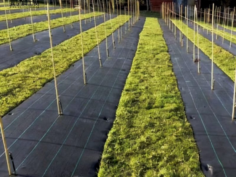 e826fa657ae3ccbc7fa16c06cc481118_副本